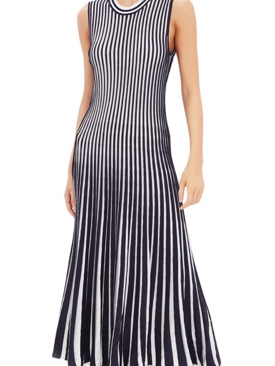 Tuckernuck Dresses & Skirts - Tuckernuck Navy Blue and White Vertical-Stripe Knit Maxi Dress
